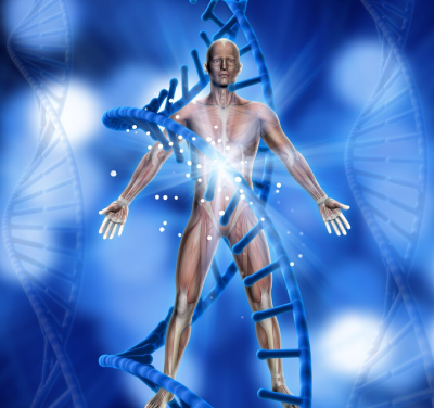 Joint replacement surgery